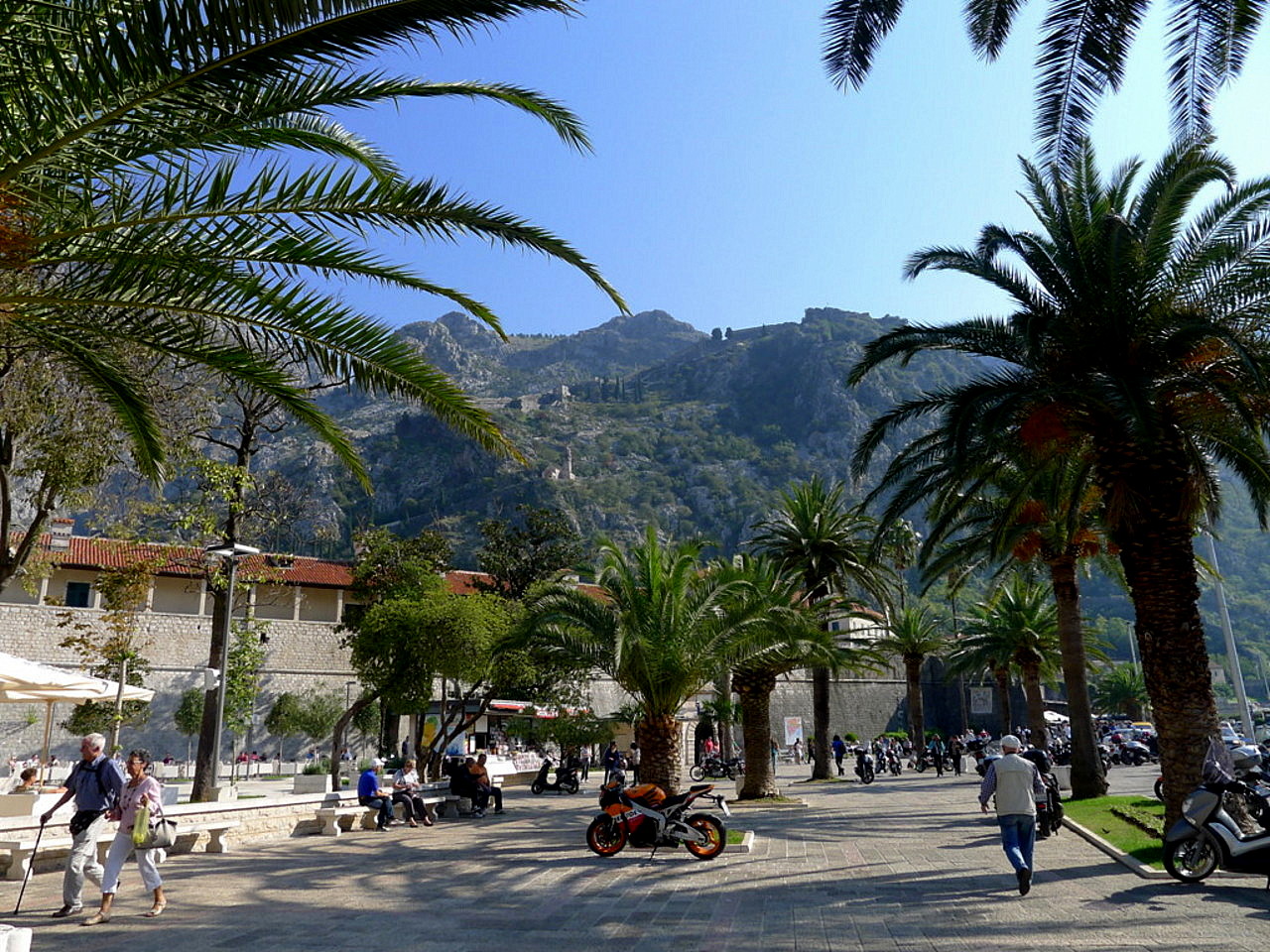 Kotor